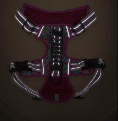 Small Medium And Large Dog Pet Leash