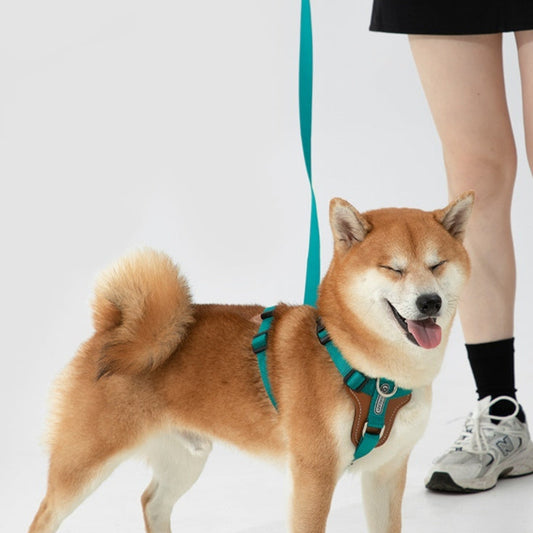 Dog Rope Leash Okinawa Dog Leash