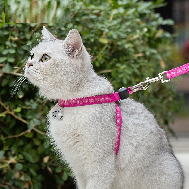 Pet Cat Bell Chest Strap Haulage Rope